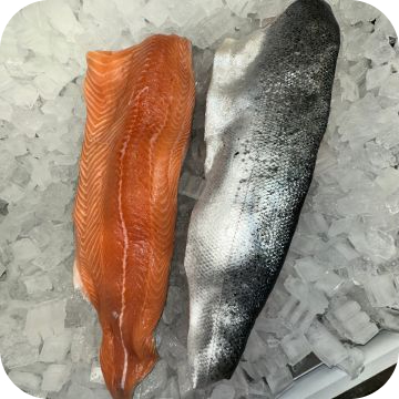 Salmon Fillets (3 lbs.)